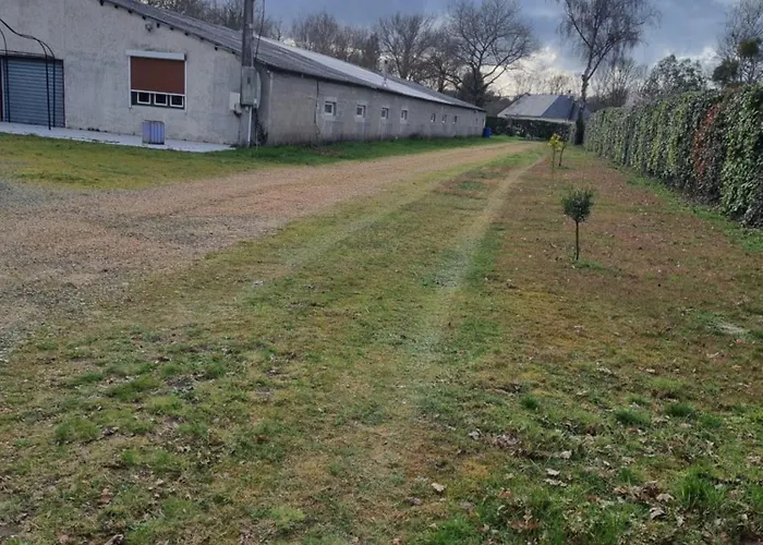 Perle-fany * Ruaudin